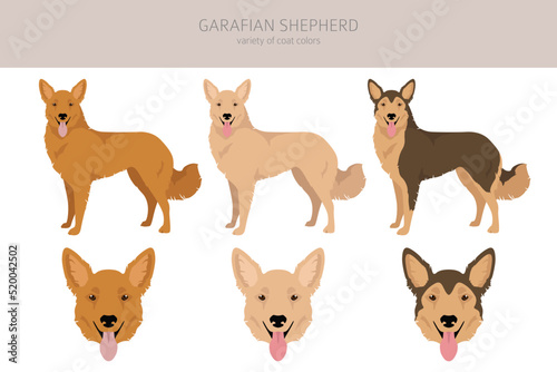 Garafian Shepherd clipart. Different coat colors set