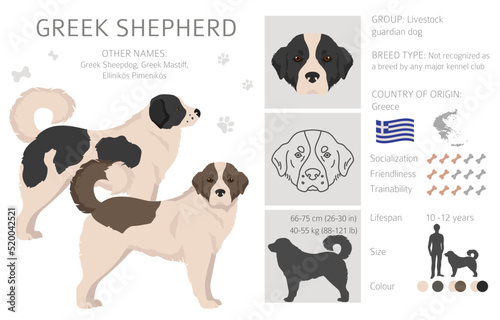 Greek Shepherd clipart. Different coat colors set