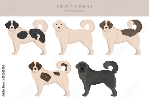 Greek Shepherd clipart. Different coat colors set
