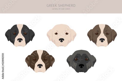 Greek Shepherd clipart. Different coat colors set