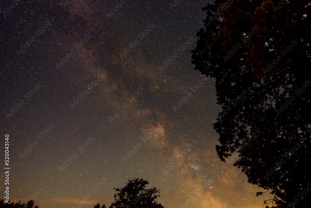 Nachthimmel mit der Milchstraße über dem Wald