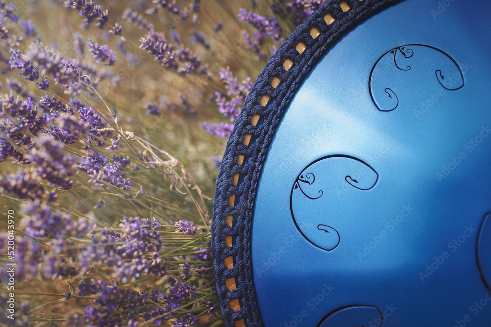 A close-up view a tongue drum musical instrument - metal drum with ...