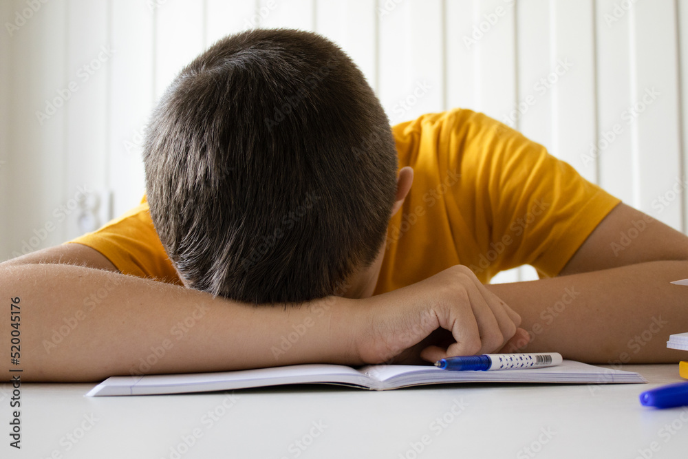 The boy fell asleep while doing his homework The boy fell asleep while doing his homework