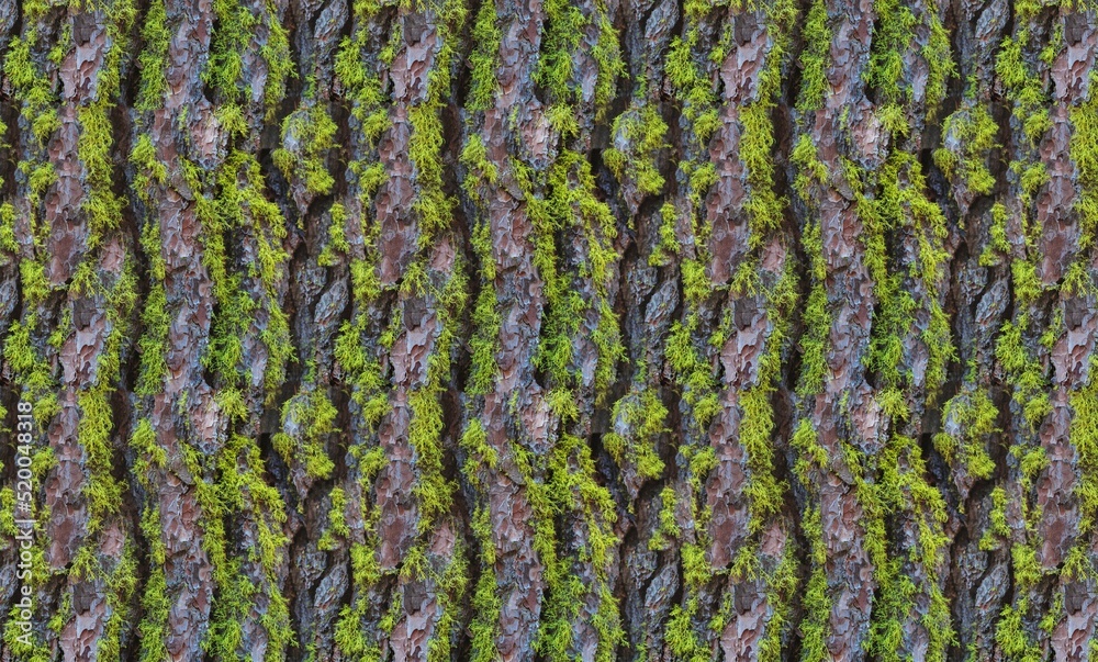 Bark pattern is seamless texture from tree. For background wood work ...