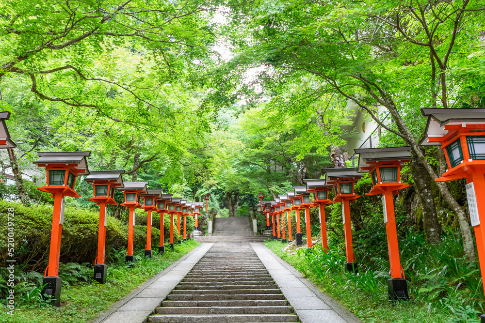 Kurama Temple with green maple tree Kurama Temple with green maple tree