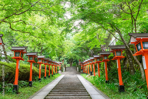 Kurama Temple with green maple tree