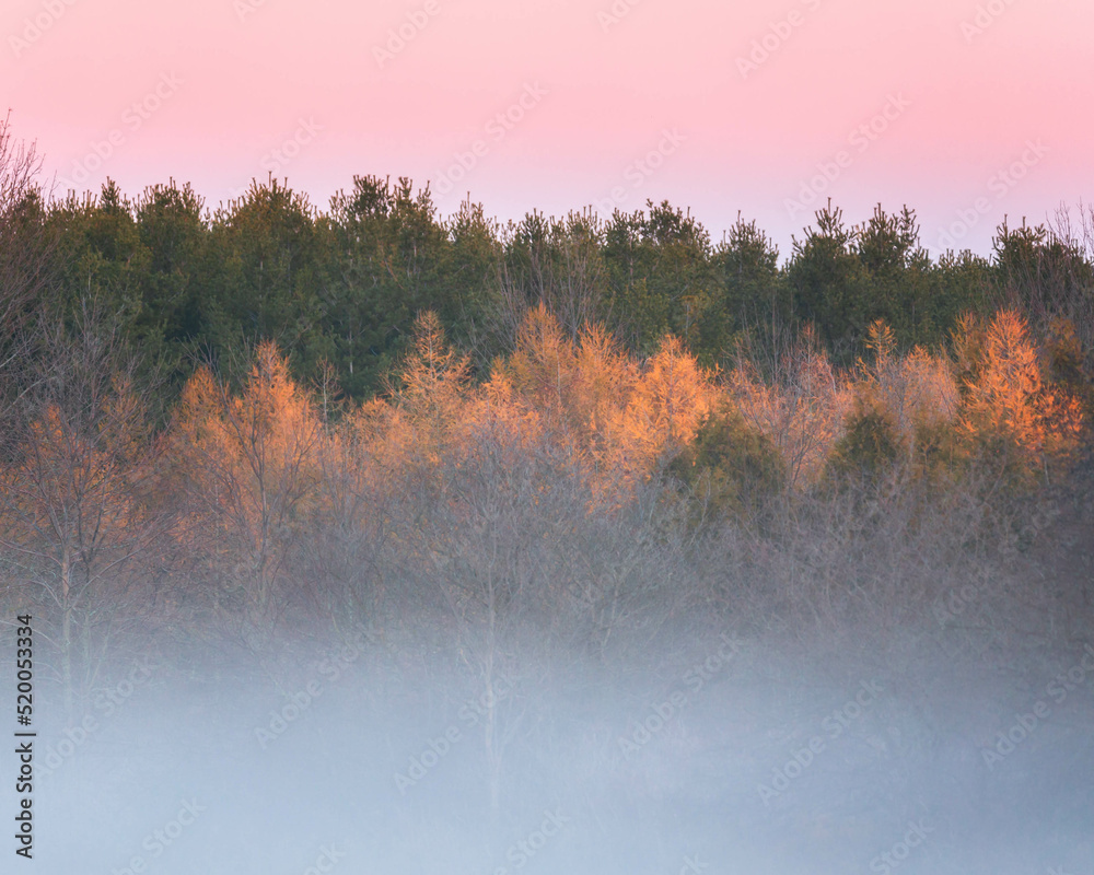 Fall colours peeking through at sunset in Ontario, Canada Fall colours peeking through at sunset in Ontario, Canada