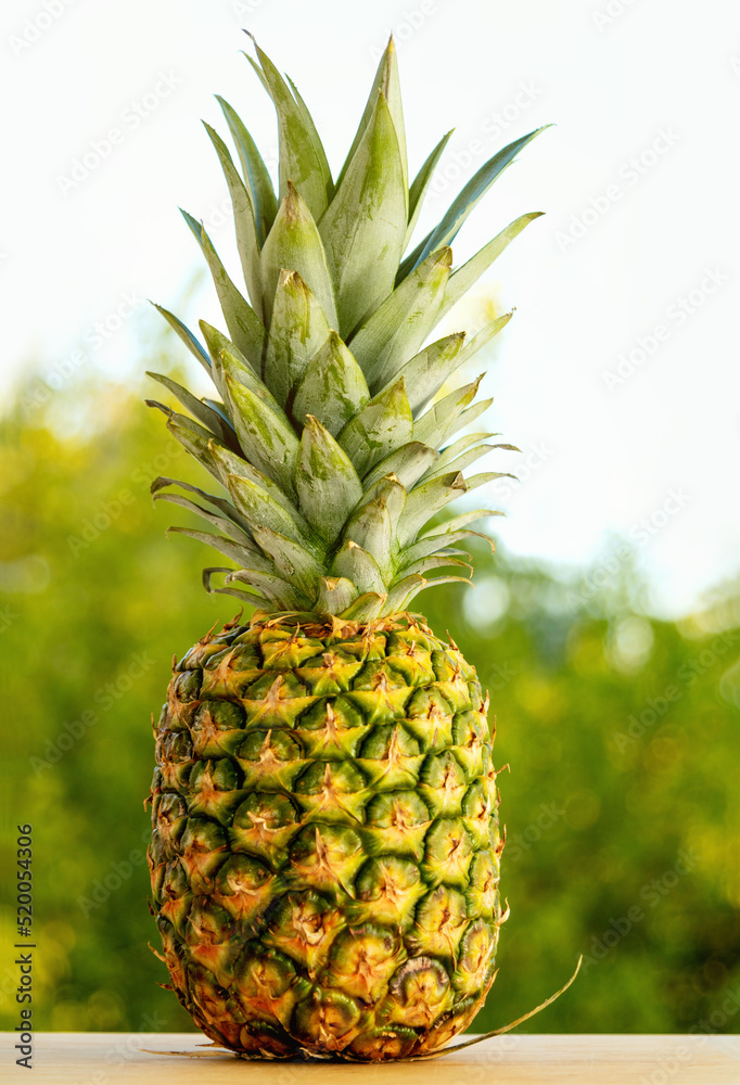 One yellow pineapple stands on a wooden table against the backdrop of natural greenery and a light sky. Vertical photo with space for text. One yellow pineapple stands on a wooden table against the backdrop of natural greenery and a light sky. Vertical photo with space for text.