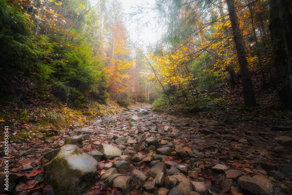 Beautiful landscape of the autumn forest in the mountains. Stony path in foggy forest leading to the top of the mountain. Beautiful landscape of the autumn forest in the mountains. Stony path in foggy forest leading to the top of the mountain.