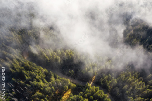 Aerial view of mountain forest in low clouds at sunrise. Beautiful landscape of foggy forest with countryside road. Top view.