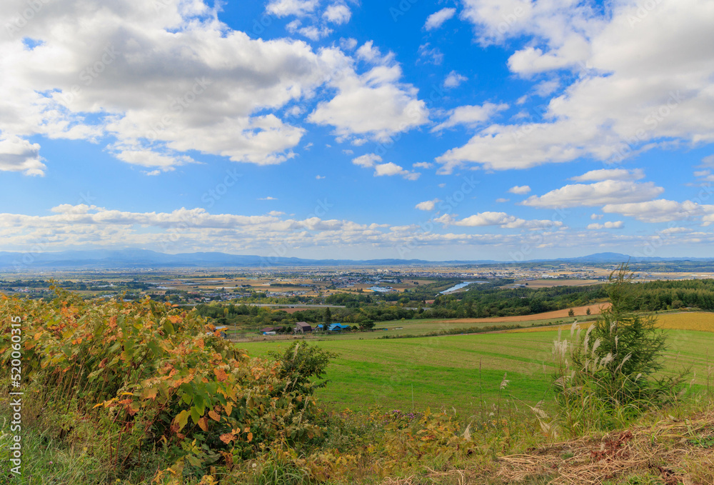 Naklejka premium 戸外炉峠からの眺め「秋の北海道」