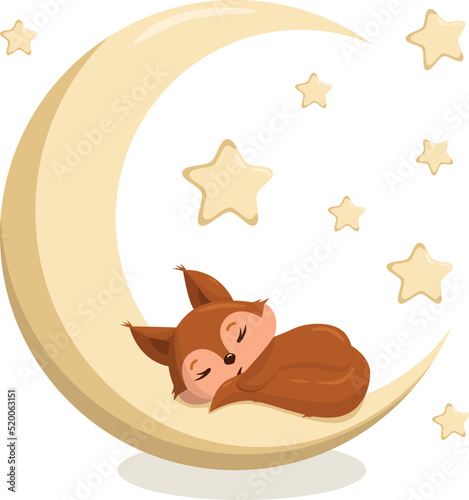 Cute sleeping squirrel. Funny squirrel baby