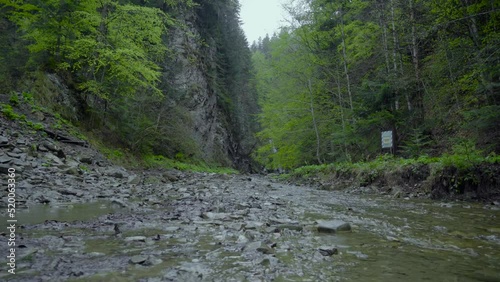 In the forest near the river