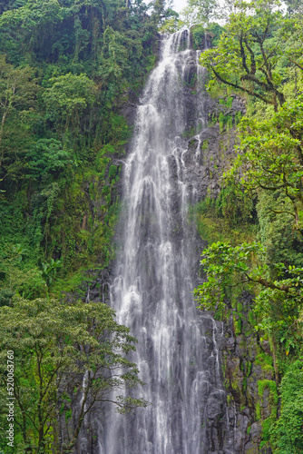 Tropical jungle waterfalls