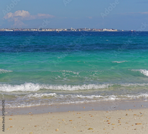 Zanzibar island beach