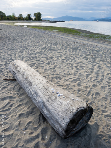 Tree log on Jericho beach in Vancouver BC, Canada photo