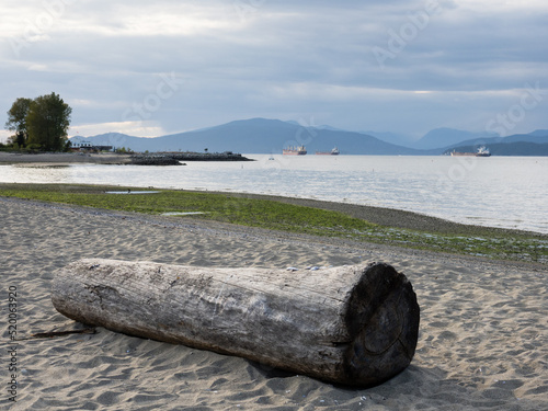 Tree log on Jericho beach in Vancouver BC, Canada
