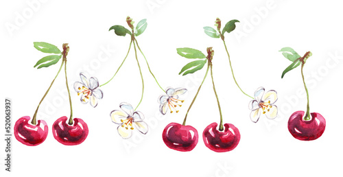 Cherry set. Watercolor clipart. Hand-painted illustration