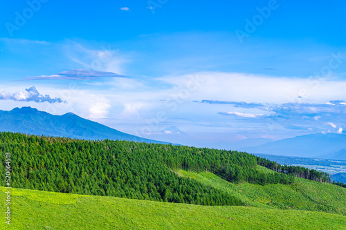 車山からの森林地帯と八ヶ岳 © kikisora