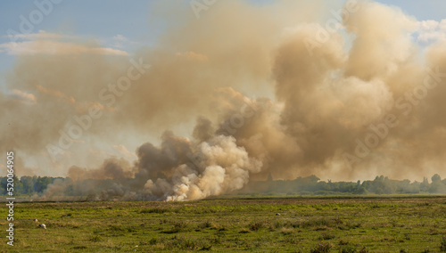 Field fire damages nature, burning grass, natural fires