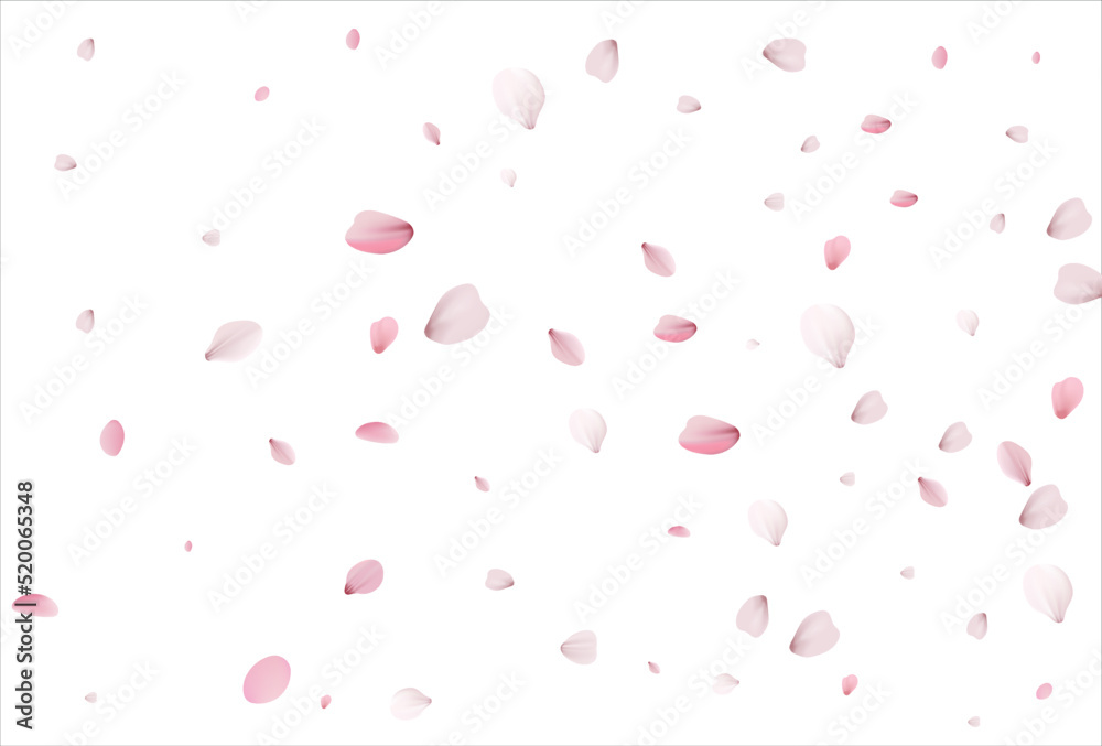 Cherry petals backdrop. Sakura petals background.