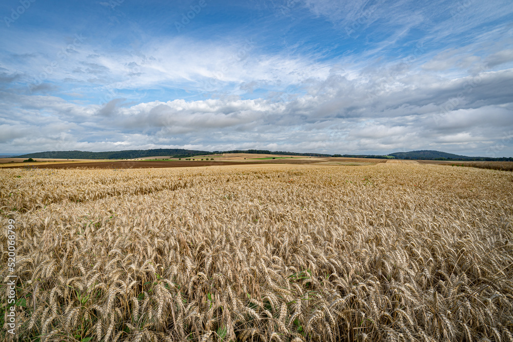 Getreideanbau in Deutschland