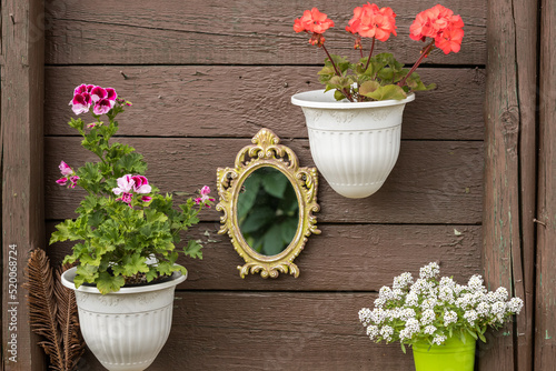 A small mirror on a wooden wall with a reflection of green leaves surrounded by pots of flowers