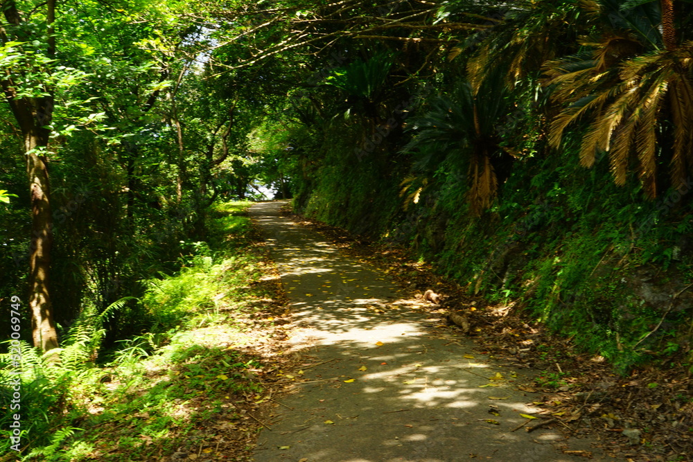 Fototapeta premium Cape Miyakozaki in Amami Oshima, Kagoshima, Japan - 日本 鹿児島県 奄美大島 宮古崎 