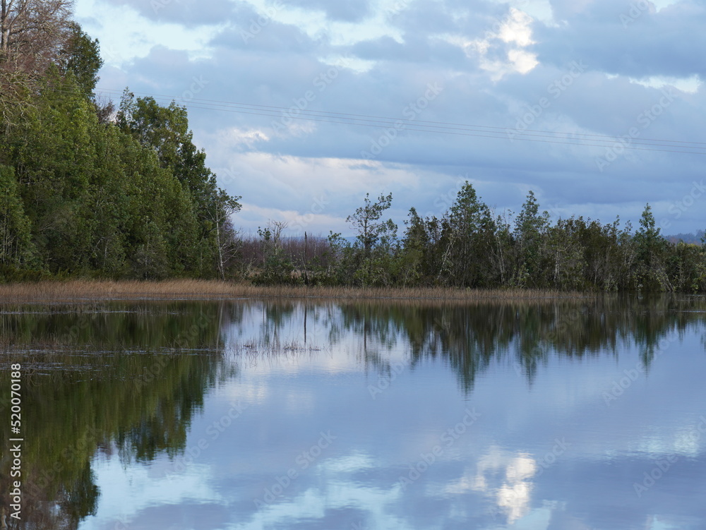 naturaleza