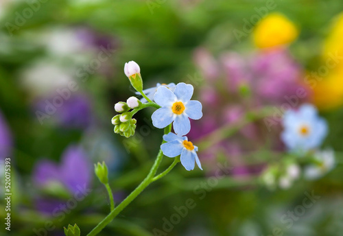 Beautiful light blue 