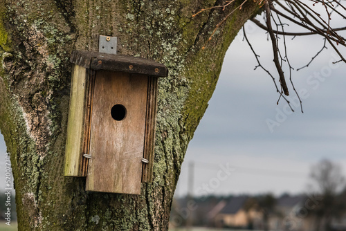 A small birdhouse hanging on a tree