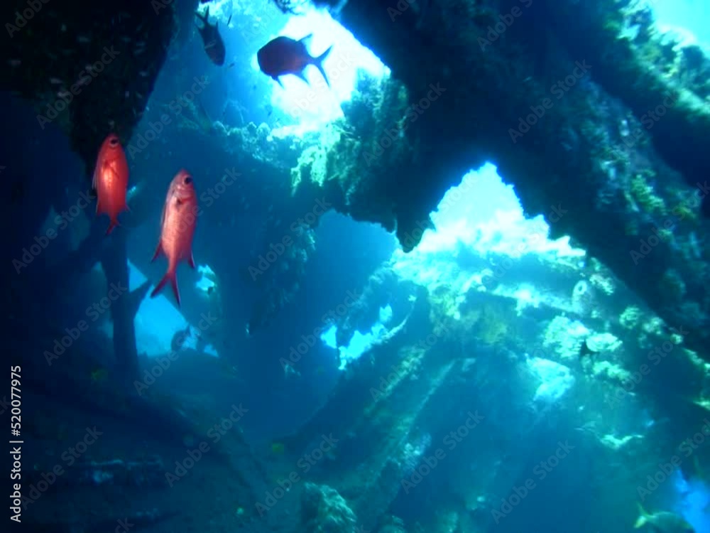 USAT Liberty wreck in Bali USAT Liberty wreck in Bali