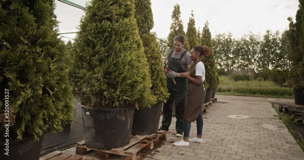 Man teaching woman to trim trees Man teaching woman to trim trees