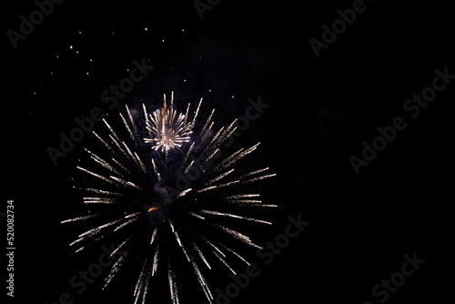 Colorful Fireworks Celebration in the Night Sky
