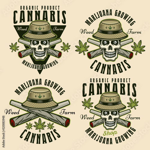 Weed farm and marijuana growing set of four vector emblems, badges, labels or logos. Illustration in colorful style isolated on light background