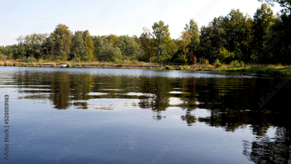 Rippling surface of lake with reflection of forest on background. Clip. Mirror reflection of forest landscape in waters of lake. Beautiful forest landscape with lake