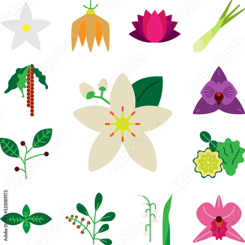 Herb, neroli icon in a collection with other items