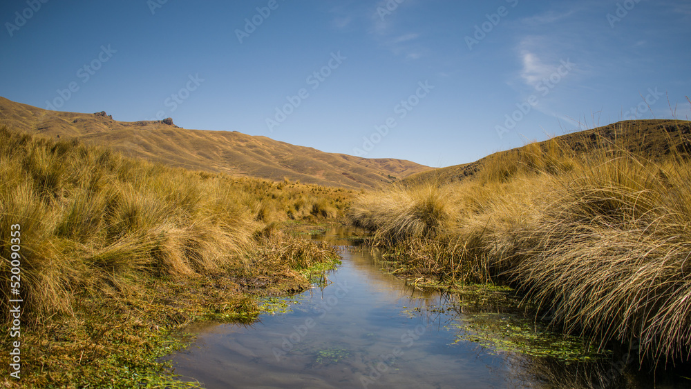 river near yellow bushes with mountains in the background and blue sky in yanaoca, cusco, peru