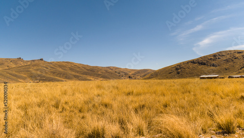yellow straw in the foreground with distant mountains and blue sky in the background in yanaoca, cusco, peru