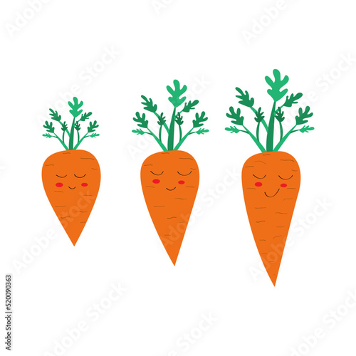 Cute carrot. Carrot growth cycle. Set of carrots with stalk in flat style.Cartoon carrot. Flat vector illustration isolated. Healthy meal. Vegetarian food.