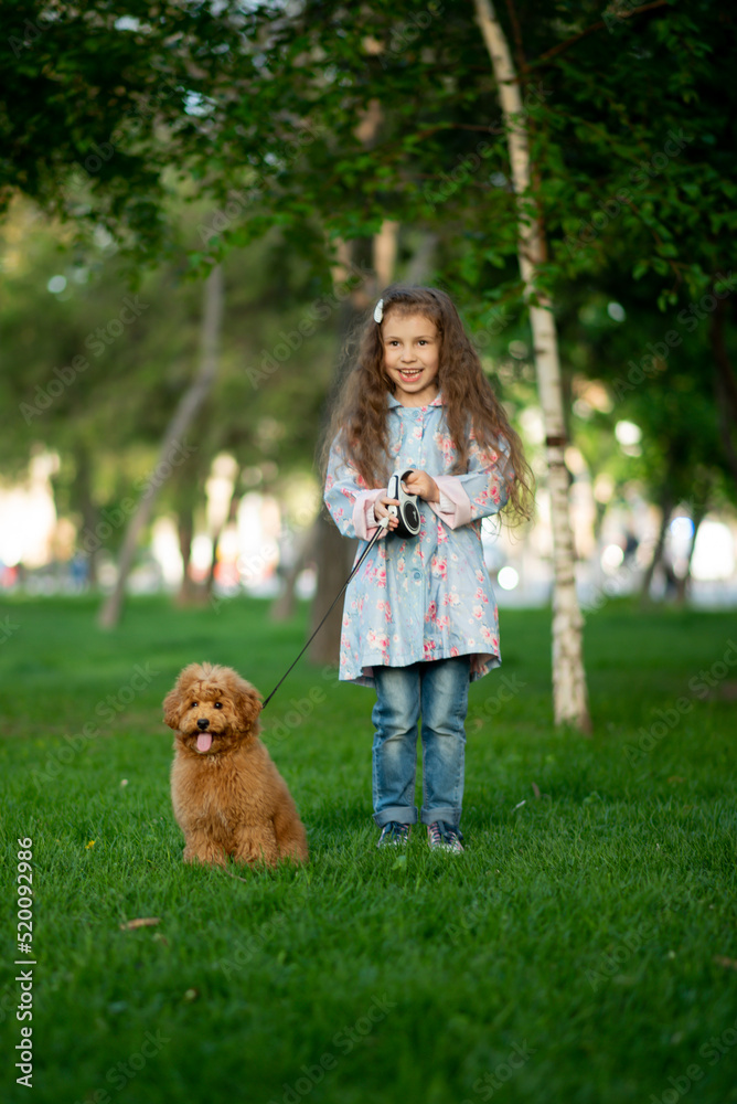 A cute little girl on a walk with toy poodle dog. It's spring outside. The girl is dressed in a blue cloak in a flower and jeans. She has long wavy hair. Childhood. Stroll. A cute little girl on a walk with toy poodle dog. It's spring outside. The girl is dressed in a blue cloak in a flower and jeans. She has long wavy hair. Childhood. Stroll.