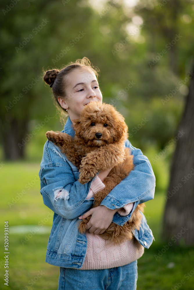 A cute teen girl on a walk with toy poodle dog. It's spring outside. The girl is dressed in a blue jacket in a flower and jeans. Childhood. Pets. A cute teen girl on a walk with toy poodle dog. It's spring outside. The girl is dressed in a blue jacket in a flower and jeans. Childhood. Pets.