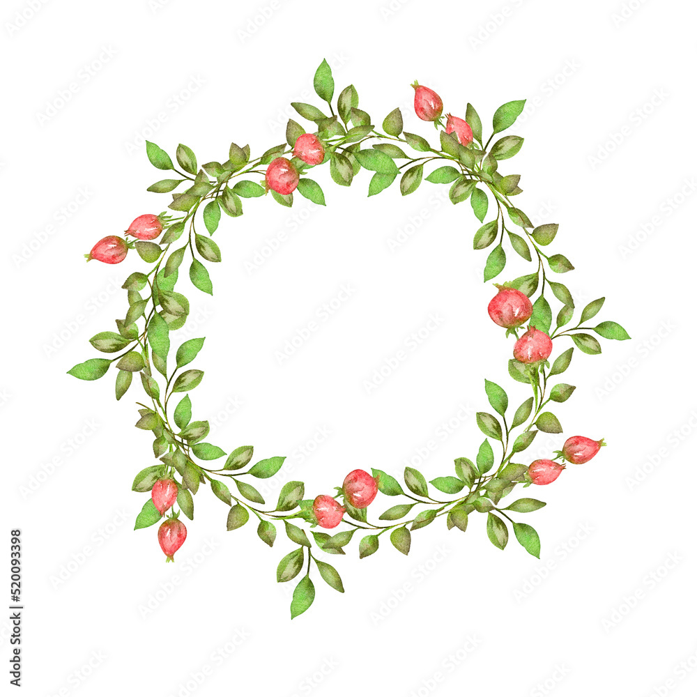 Fototapeta premium Watercolor illustration, round frame, green branch, eucalyptus sprig, algae, plant, grass frame, wreath