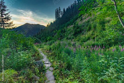 Fototapeta Naklejka Na Ścianę i Meble -  West Tatry 2022