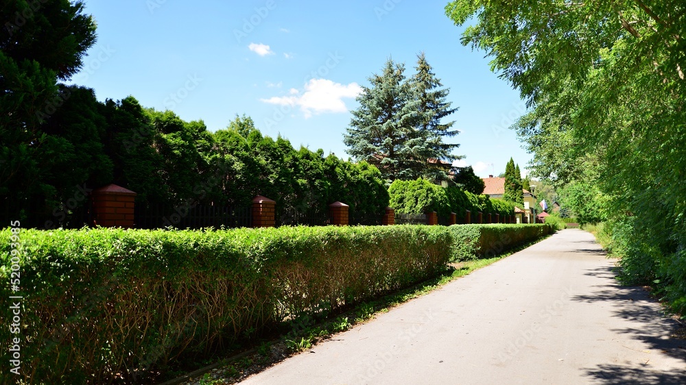 Area with  family houses in green district