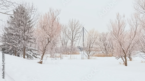 Ile de la visitation nature park in the snow. Montreal