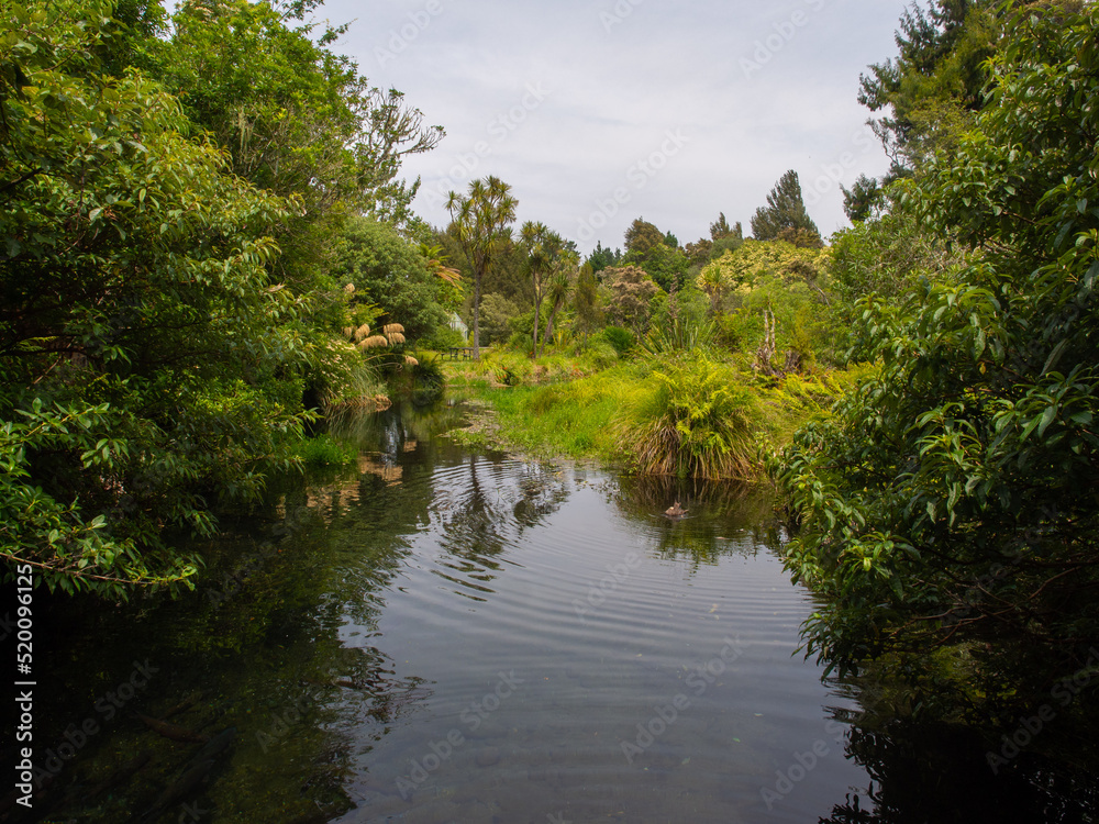 Pond In The Bush Pond In The Bush