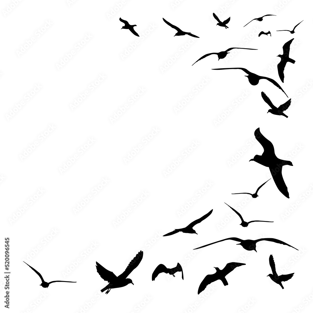 Flying flock of birds. Flight bird silhouettes, isolated black doves or seagulls collection. Freedom metaphor vector illustration. Flock bird black silhouette illustration