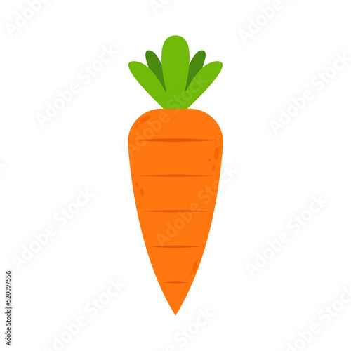 Carrot vector. Carrot on white background.