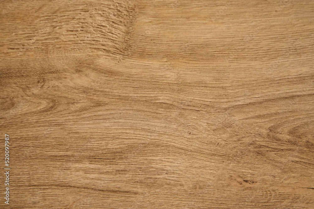 texture of wood texture of wood